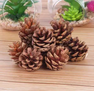 12 Pcs Christmas Decoration Wooden Pine Cones Hanging Ornaments Bauble Xmas New Year Festival Party Decoration