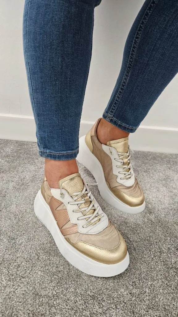 A3622 GOLD