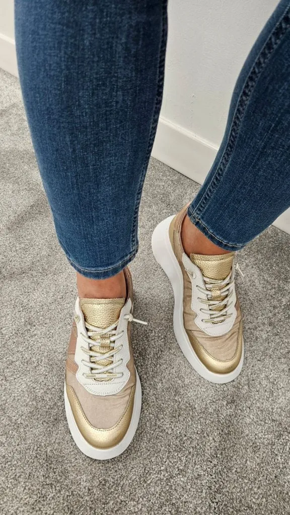 A3622 GOLD