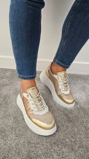 A3622 GOLD