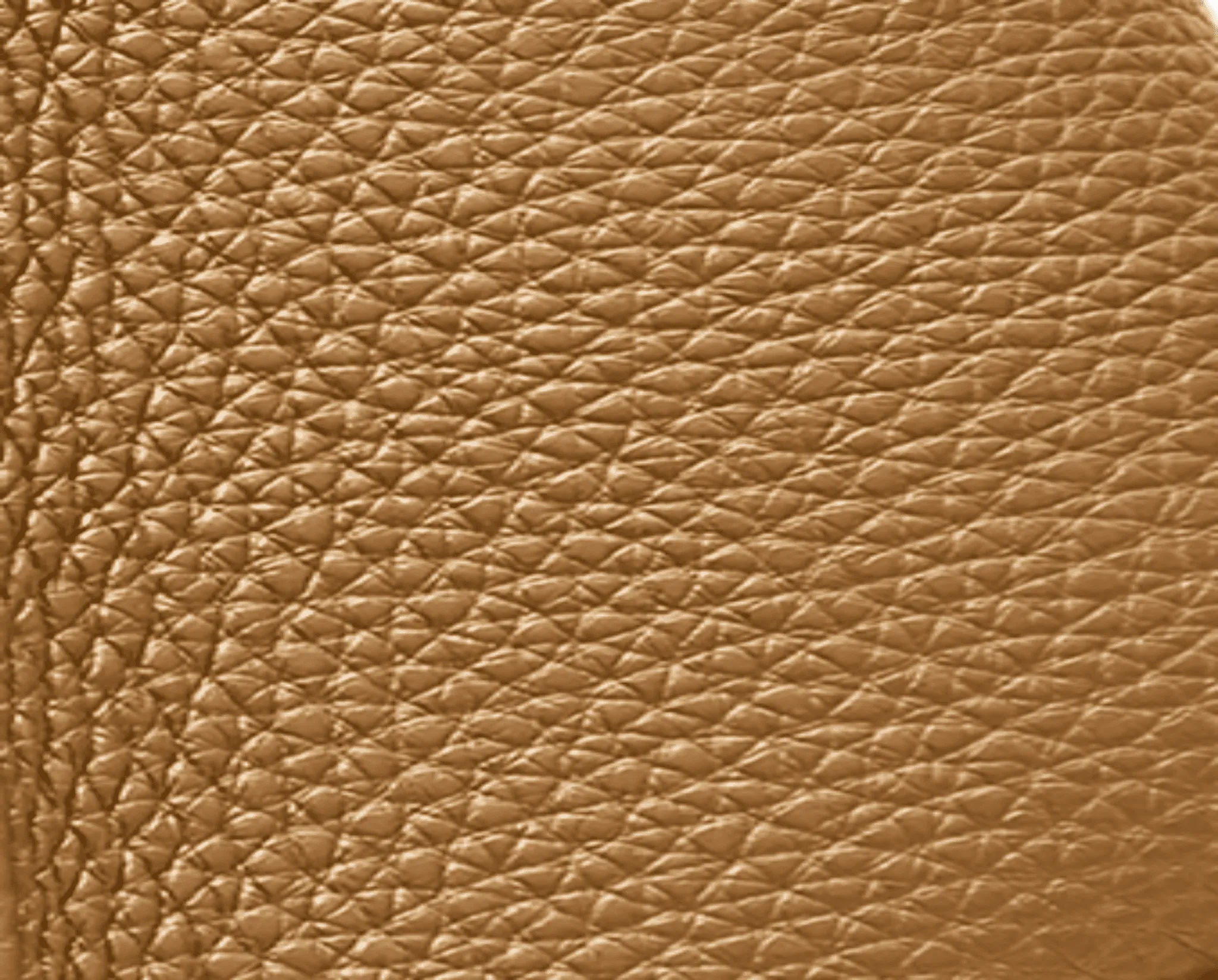 ANNIA Tote