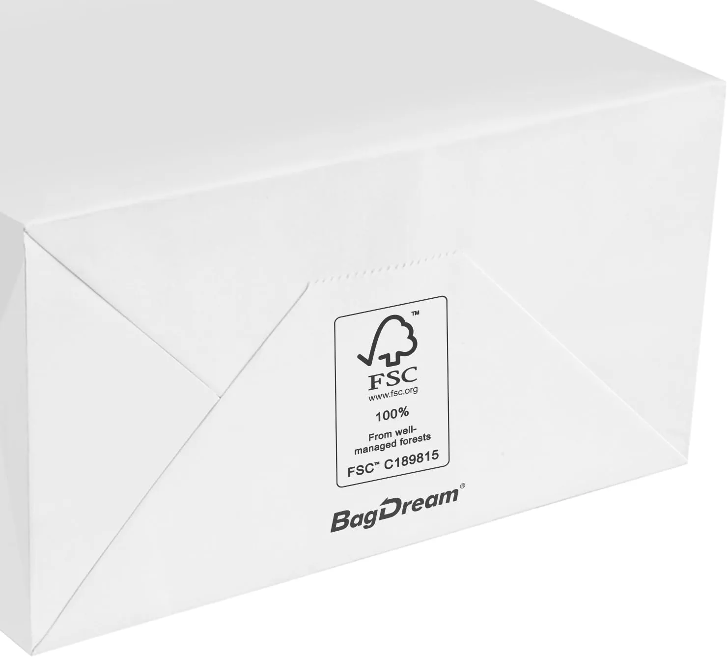 BagDream Gift Bags 8x4.25x10.5 100Pcs Kraft Paper Bags with Handles Bulk, White Gift Bags Medium Shopping Retail Merchandise Wedding Party Favor Bags, Paper Grocery Bags Sacks Recyclable
