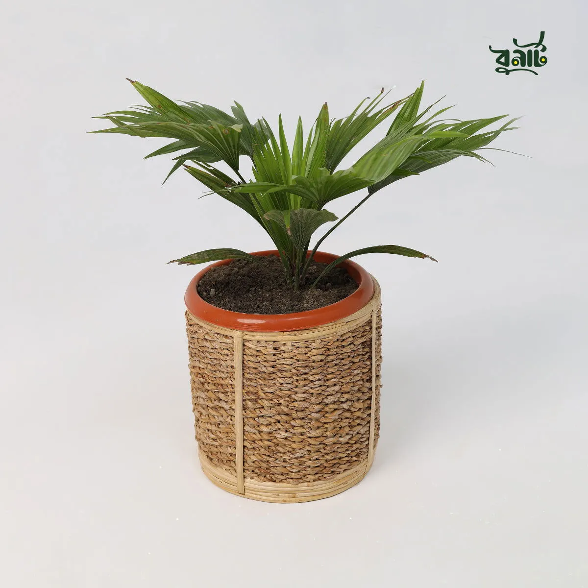 cane & seagrass planter