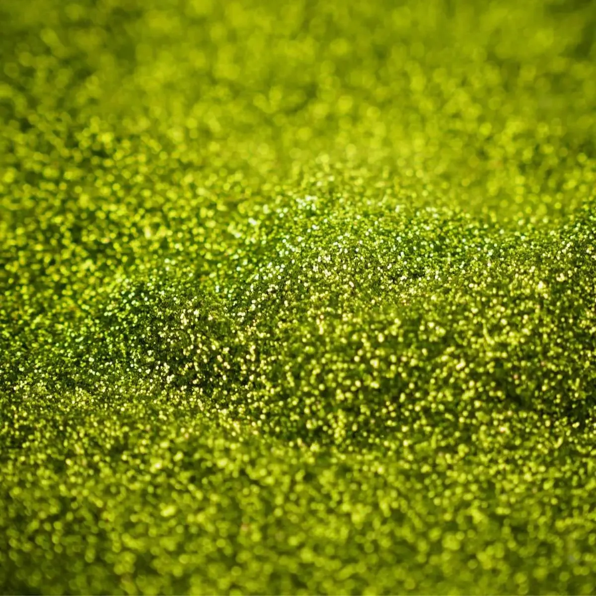 Chrome Crush Glitter | Light Green