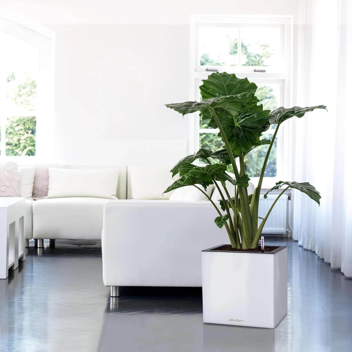 LECHUZA CANTO Premium 40 low white high gloss 13750