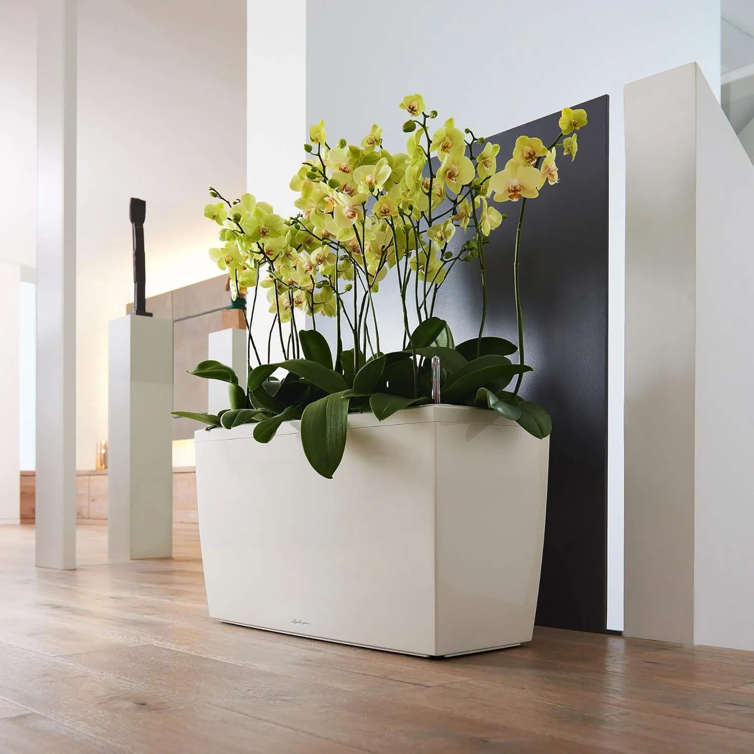 Lechuza CARARO Premium Black high Gloss 18809