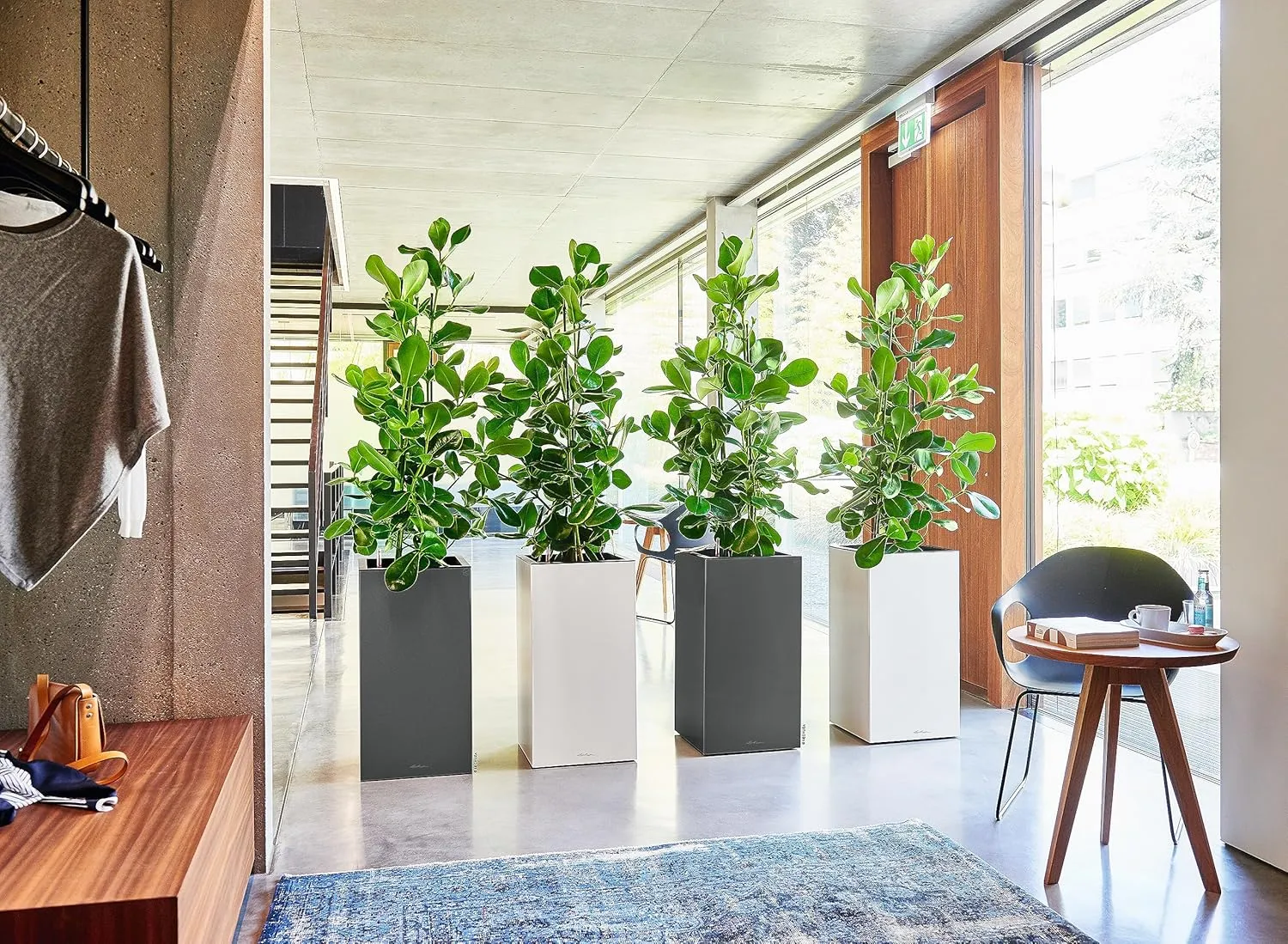 Lechuza Planter, Plastic Polypropylene (PP), Anthracite Metallic, 40x40x76 cm