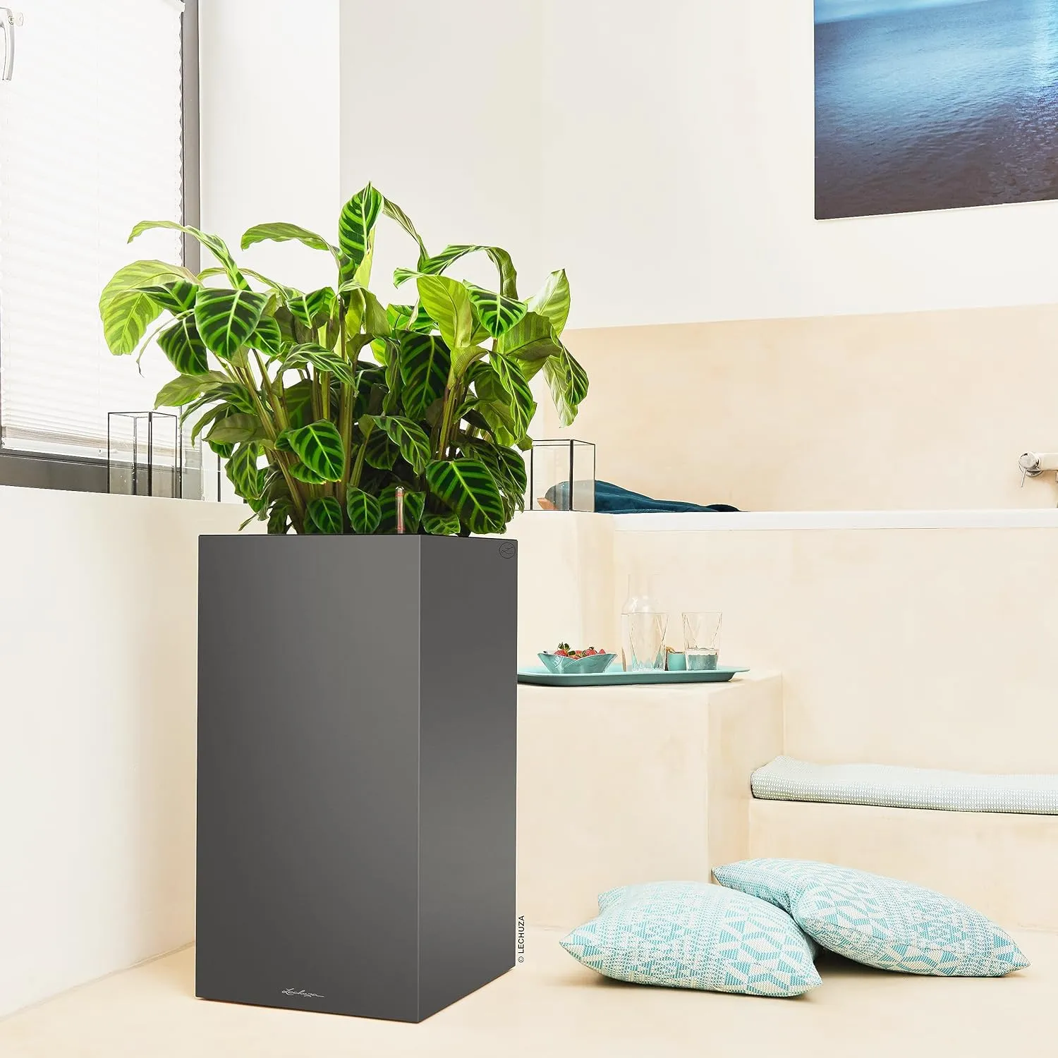 Lechuza Planter, Plastic Polypropylene (PP), Anthracite Metallic, 40x40x76 cm