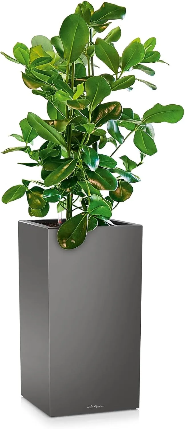 Lechuza Planter, Plastic Polypropylene (PP), Anthracite Metallic, 40x40x76 cm