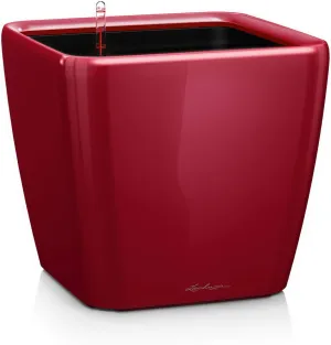 Lechuza Quadro Premium LS 50 Scarlet red high Gloss 16287