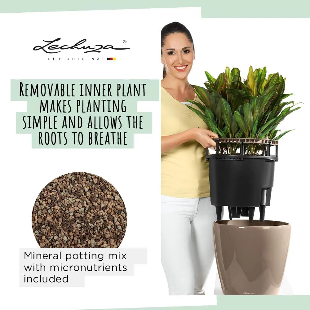 Lechuza Self Watering Plant Pot Classico 21 LS Garden Flower Indoor Outdoor Small Table Plastic Planter with Drainage Hole D21 H20 cm Charcoal Metallic