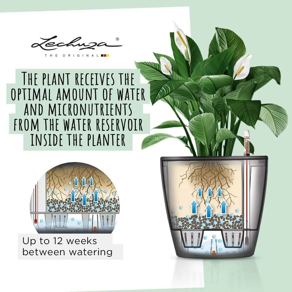 Lechuza Self Watering Plant Pot Classico 21 LS Garden Flower Indoor Outdoor Small Table Plastic Planter with Drainage Hole D21 H20 cm Charcoal Metallic