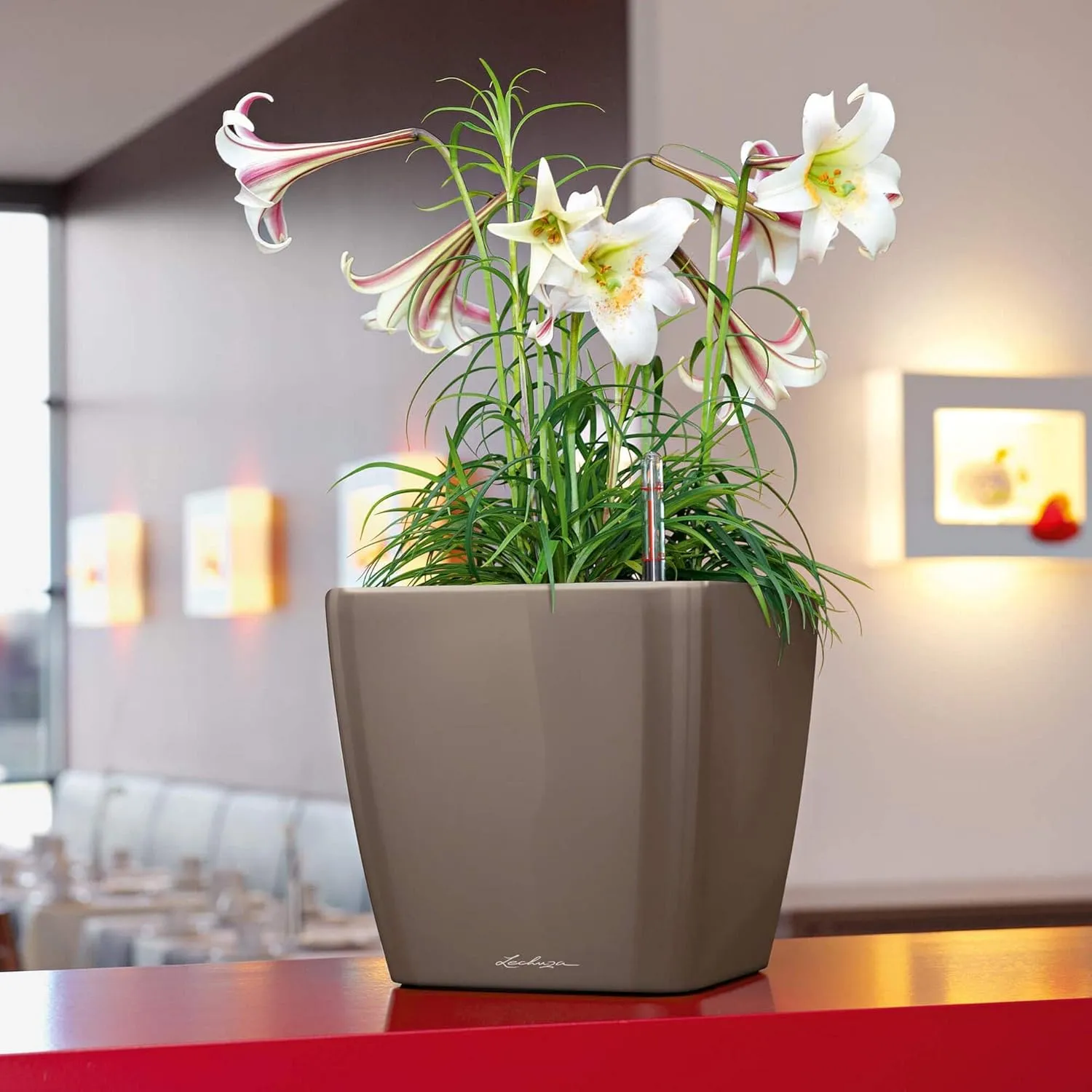 Lechuza Self Watering Plant Pot Quadro LS 35 Garden Flower Indoor Outdoor Floor Plastic Planter with Drainage Hole H33 L35 W35 cm Charcoal Metallic