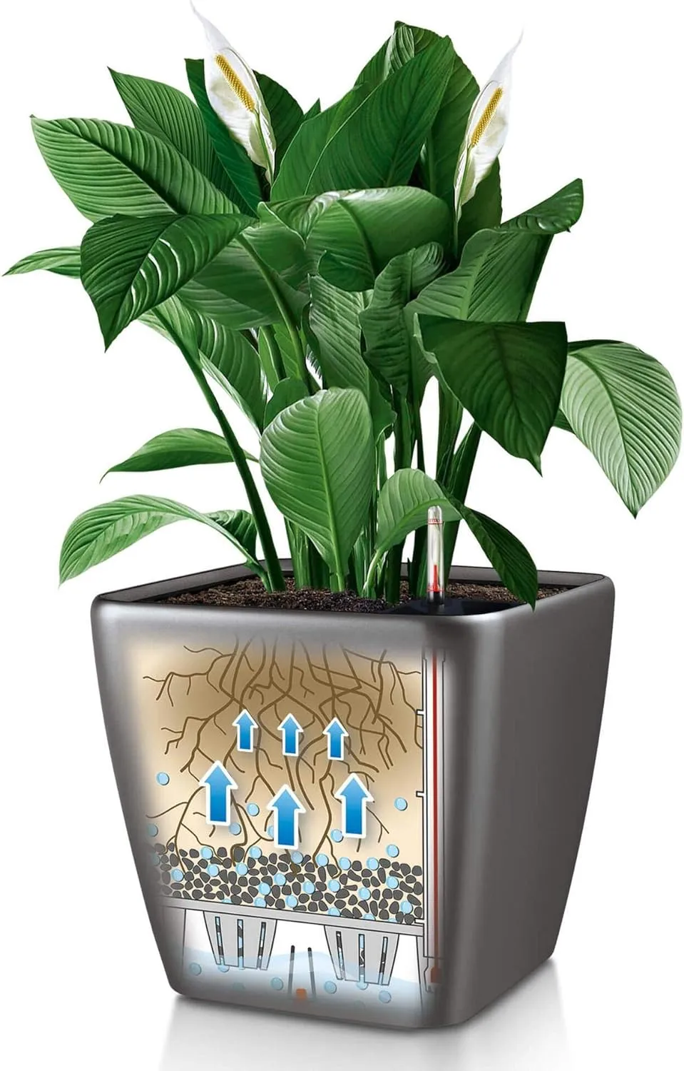 Lechuza Self Watering Plant Pot Quadro LS 50 Garden Flower Indoor Outdoor Floor Plastic Planter with Drainage Hole H47 L50 W50 cm Black High-Gloss