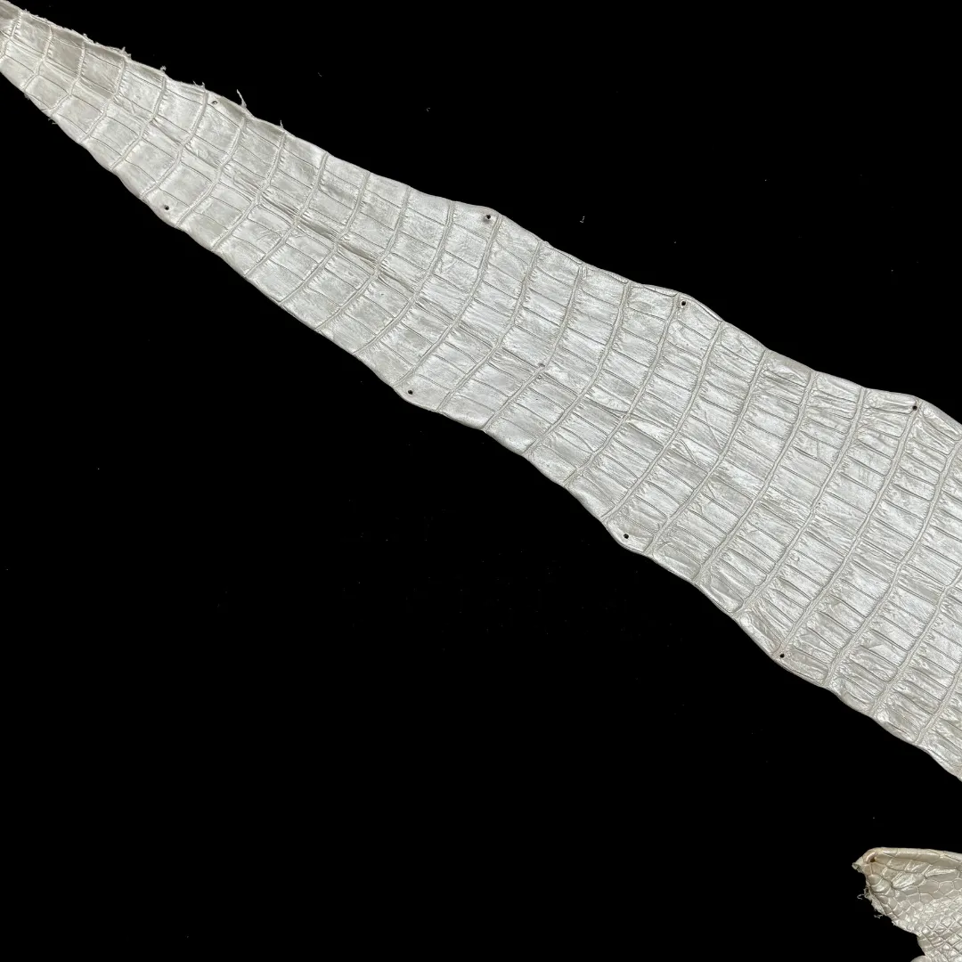 Metallic Hand Painted Nile Crocodile | Pearl | 22 cm