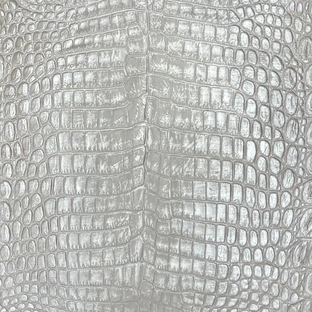 Metallic Hand Painted Nile Crocodile | Pearl | 22 cm