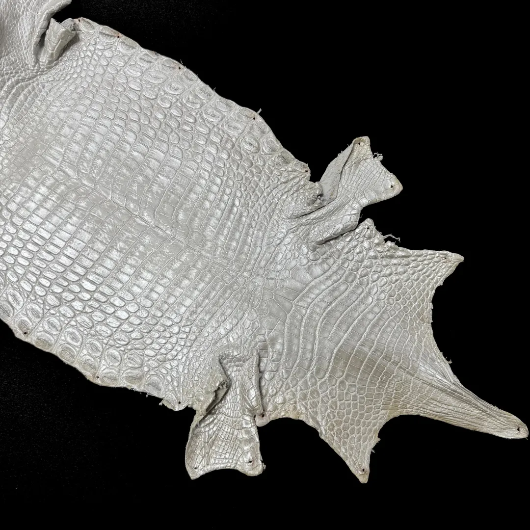 Metallic Hand Painted Nile Crocodile | Pearl | 22 cm