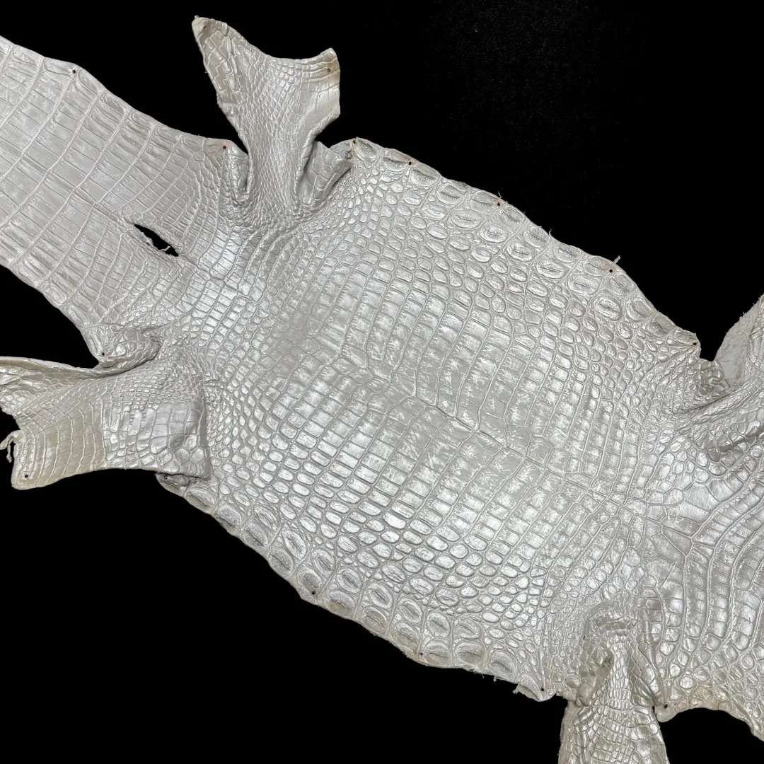 Metallic Hand Painted Nile Crocodile | Pearl | 22 cm