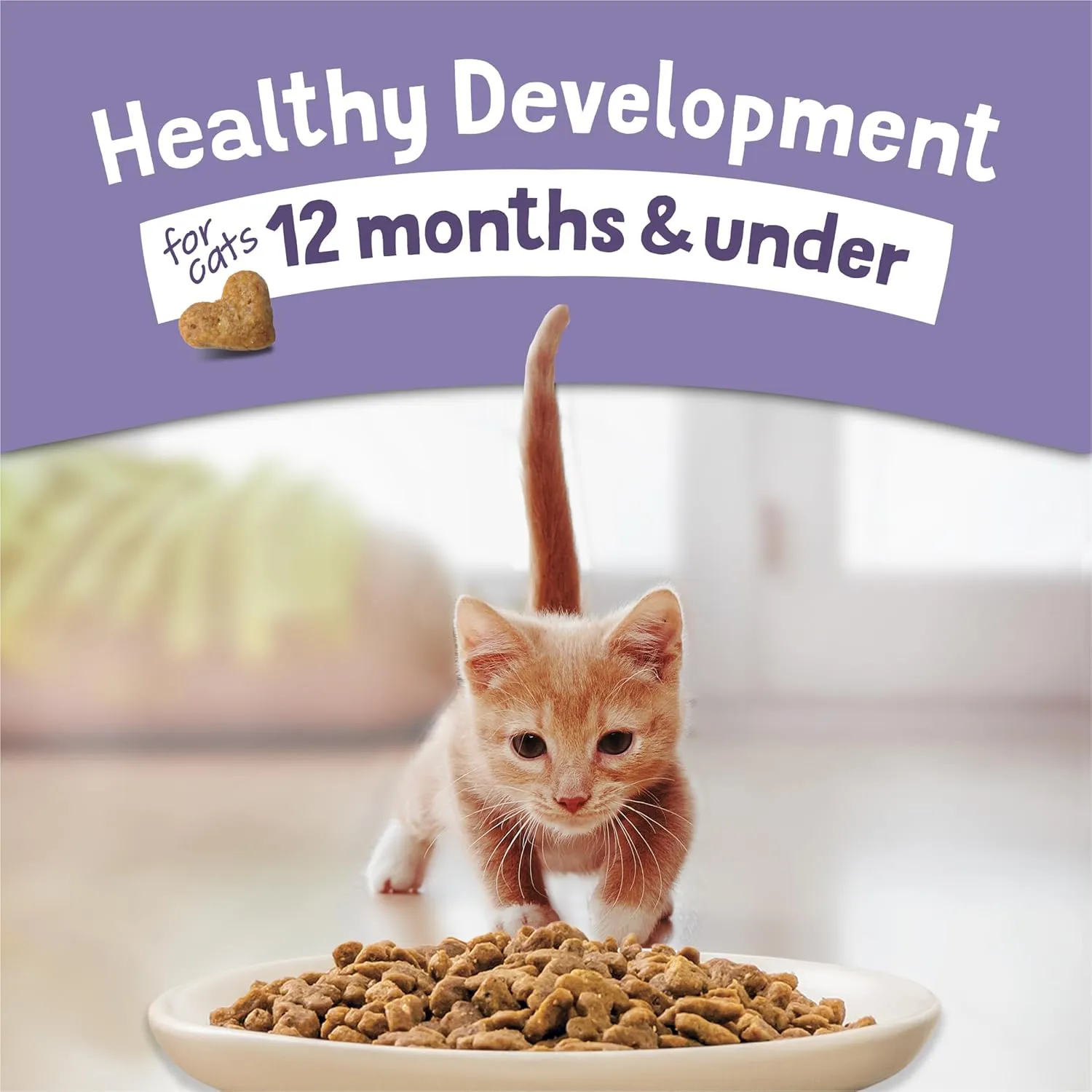 Purina Kitten Chow Kitten Food Healthy Development with Real Chicken Dry Kitten Food - (Pack of 4) 3.15 lb. Bags