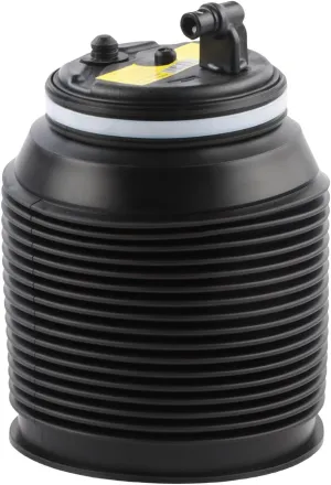 Rear Left Air Suspension Bag fits for Lexus GX470 2002-2009, GX460 2010-2012, for 4Runner 2002-2009 Replace OE 4809035011 4809035010
