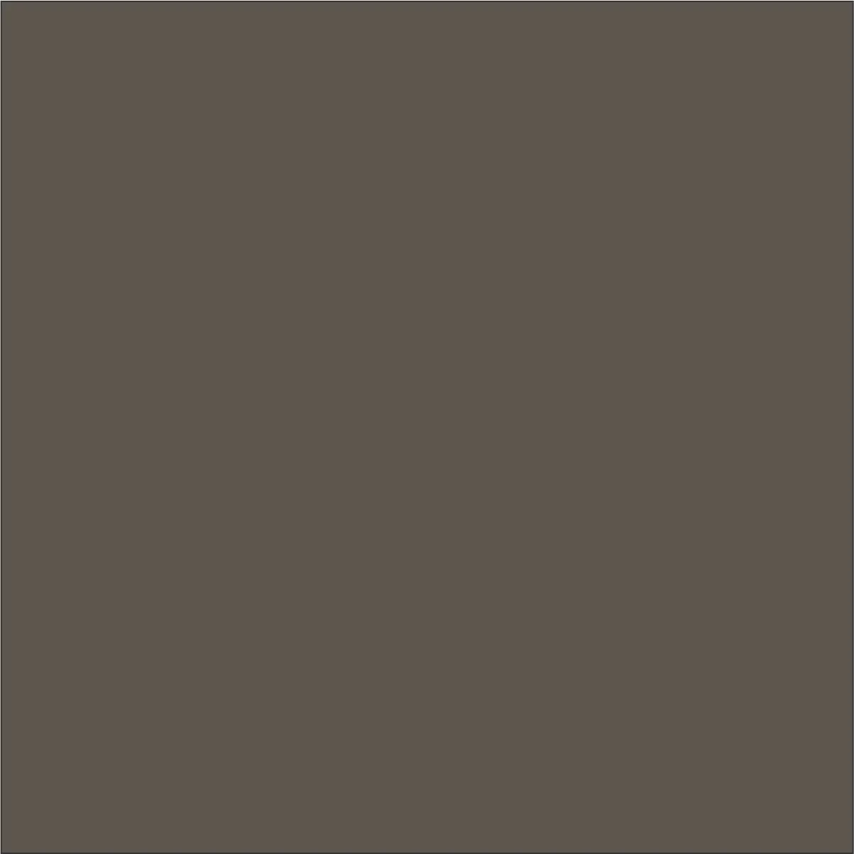 ThermoFlex Plus HTV Metallic Bronze
