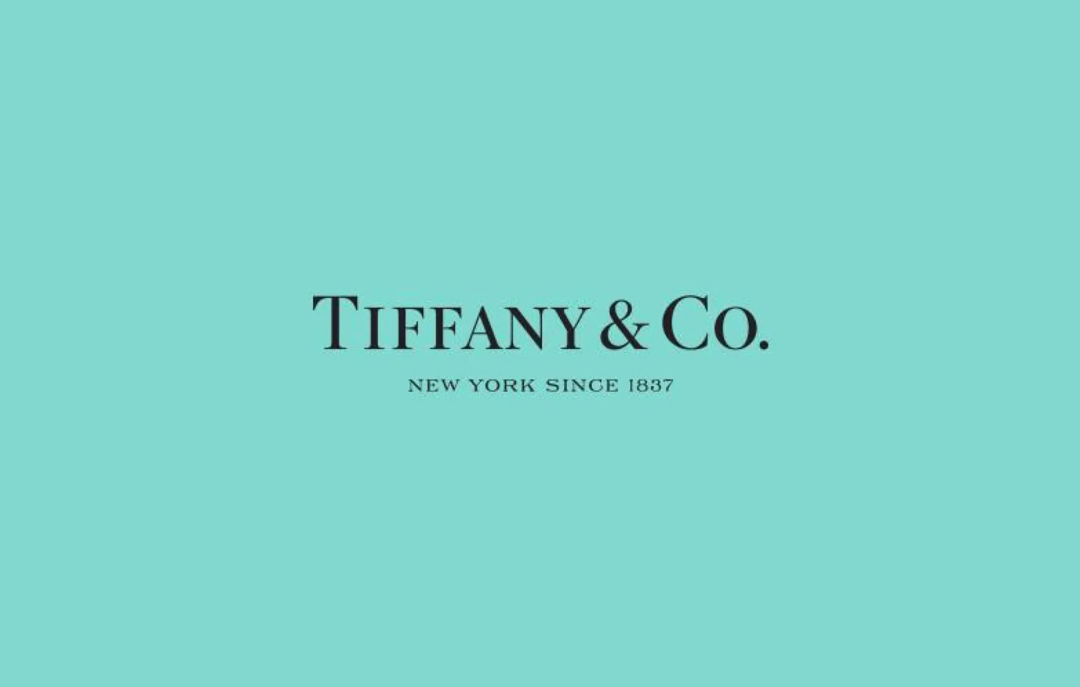 TIFFANY & CO. SUEDE LEATHER REVERSIBLE TOTE BAG